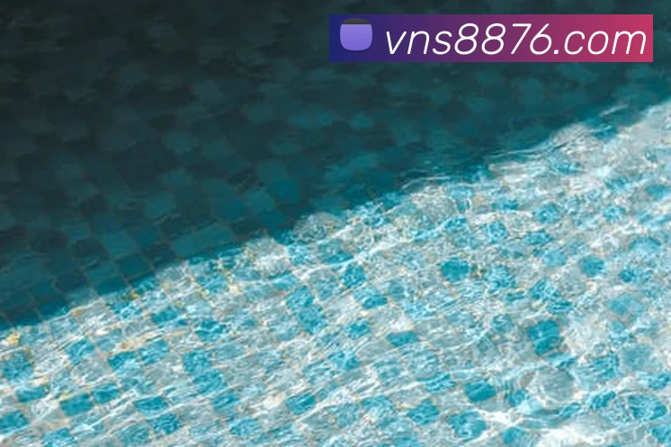 威尼斯娱乐网站APP 封面图